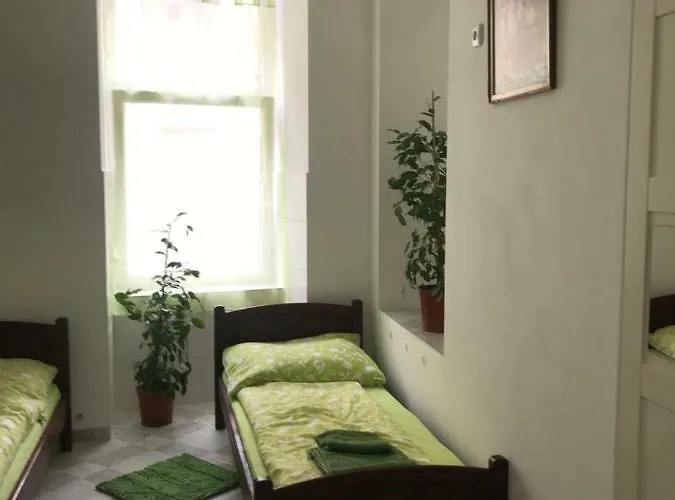 Auberge de jeunesse Viktoria Artur